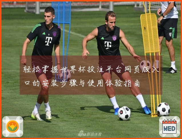 轻松掌握世界杯投注平台网页版入口的安装步骤与使用体验指南
