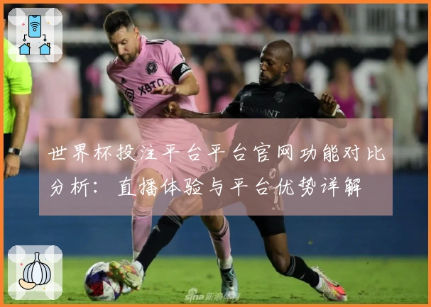 世界杯投注平台平台官网功能对比分析：直播体验与平台优势详解