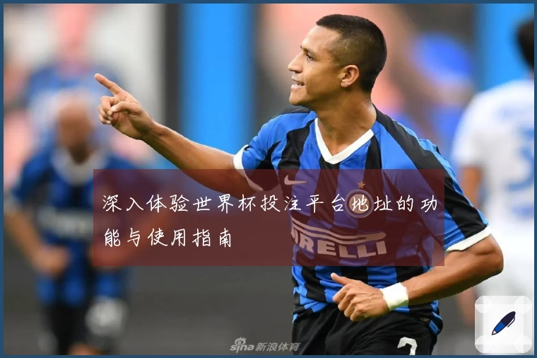 深入体验世界杯投注平台地址的功能与使用指南