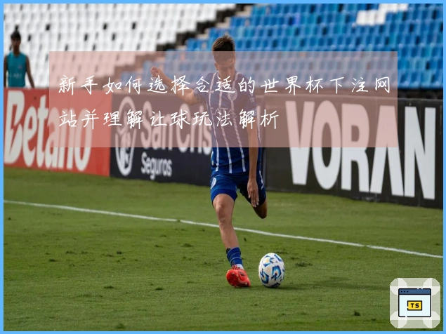 新手如何选择合适的世界杯下注网站并理解让球玩法解析
