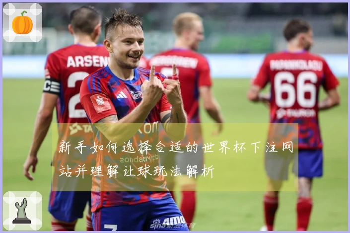 新手如何选择合适的世界杯下注网站并理解让球玩法解析