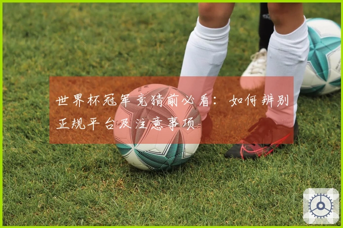 世界杯冠军竞猜前必看：如何辨别正规平台及注意事项