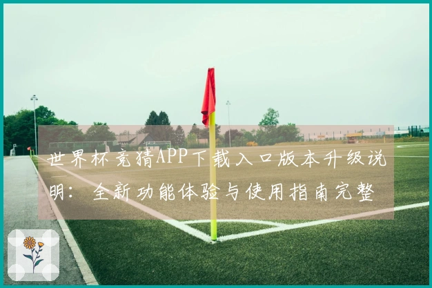 世界杯竞猜APP下载入口版本升级说明：全新功能体验与使用指南完整版