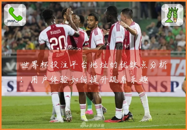 世界杯投注平台地址的优缺点分析：用户体验如何提升观看乐趣