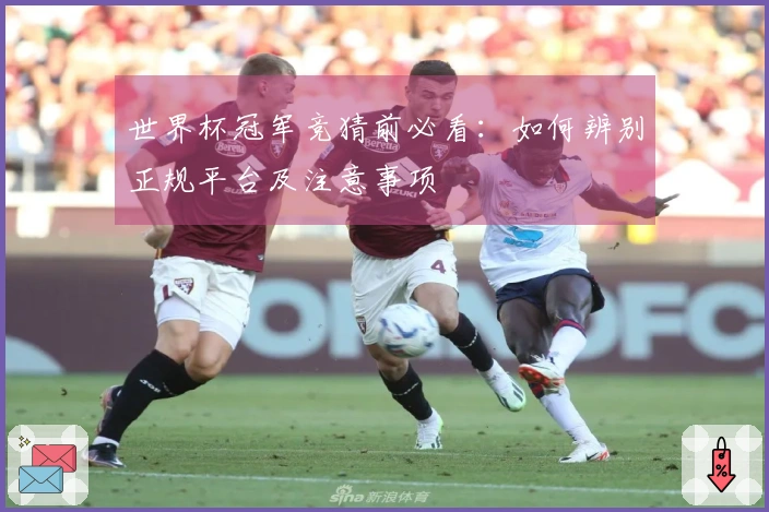世界杯冠军竞猜前必看：如何辨别正规平台及注意事项