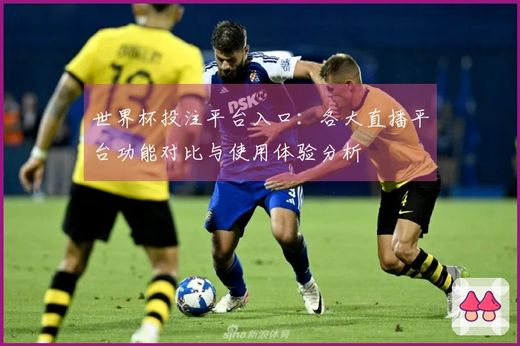 世界杯投注平台入口：各大直播平台功能对比与使用体验分析